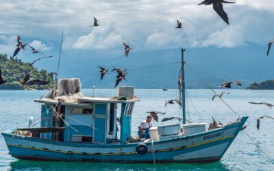 Luxury Fishing Yacht Charter Dubai: The Complete Guide