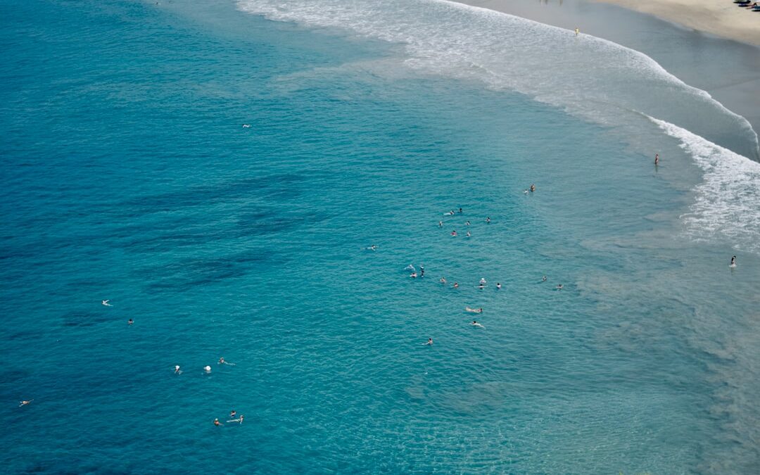 snorkeling yacht trip Dubai hire — imperiumdxb.com